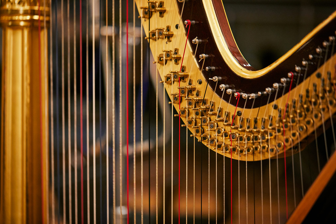 sa-auntie_35_harp_product_lkp_1819.jpg