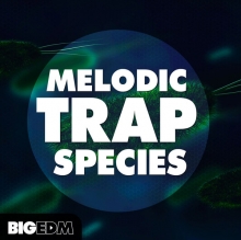 Big EDM Melodic Trap Species WAV MIDi PRESETS